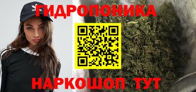 a pvp Владивосток
