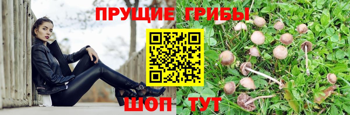 Псилоцибиновые грибы мухоморы  Вход с VPN  Нижнеудинск 